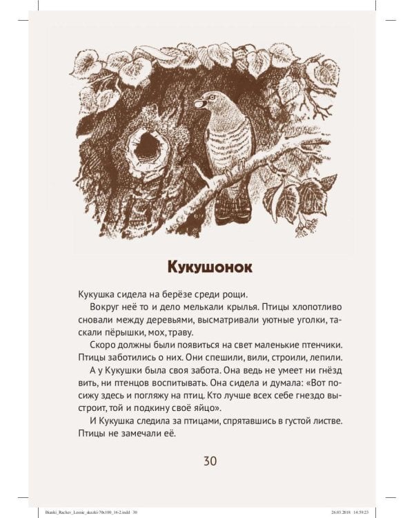 Лесные сказки: рассказы и сказки