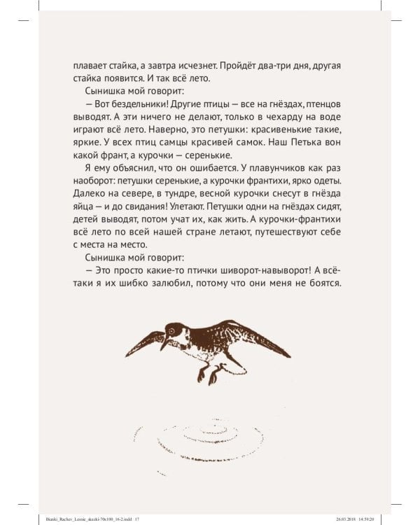 Лесные сказки: рассказы и сказки