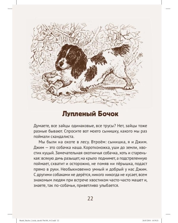 Лесные сказки: рассказы и сказки