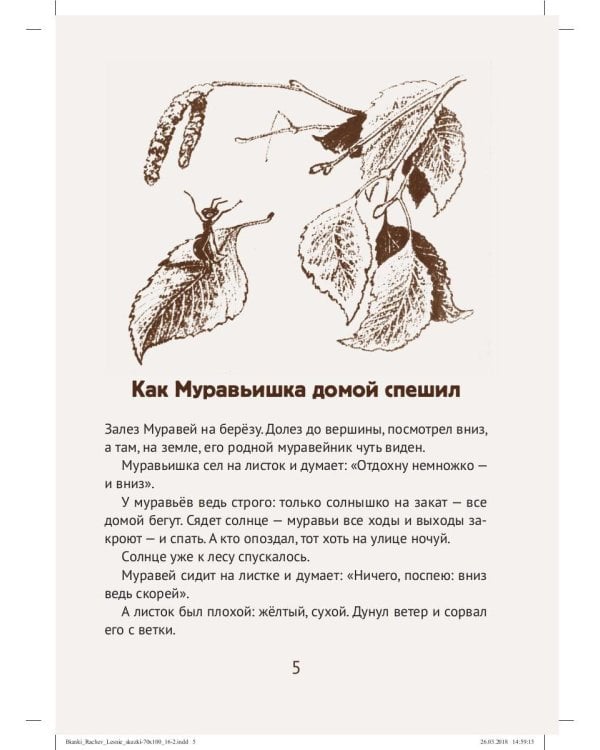 Лесные сказки: рассказы и сказки