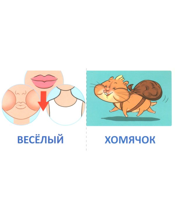 Набор речевых карточек с рисунками. Учебно-игровой комплект №2 (комплект из 4-х наборов карточек)