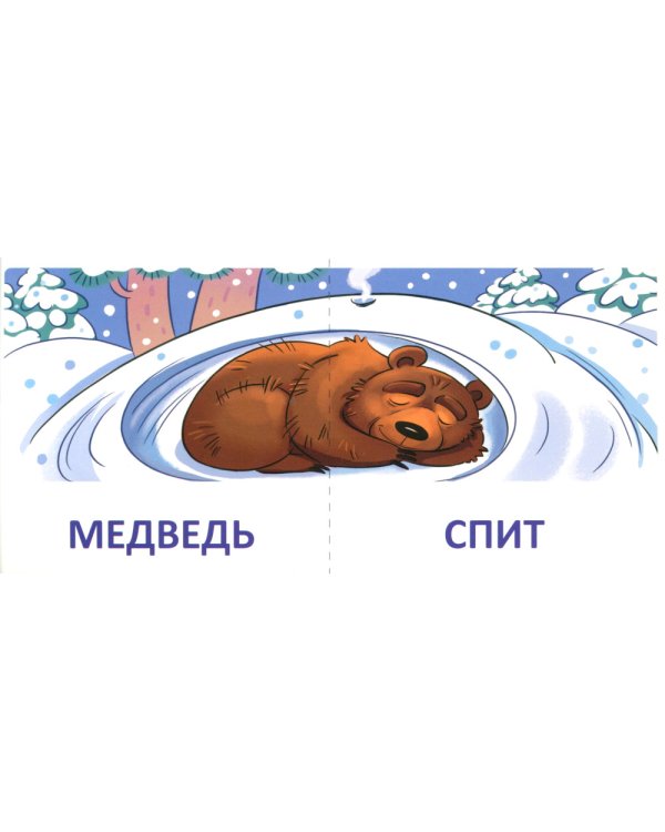 Набор речевых карточек с рисунками. Учебно-игровой комплект №2 (комплект из 4-х наборов карточек)