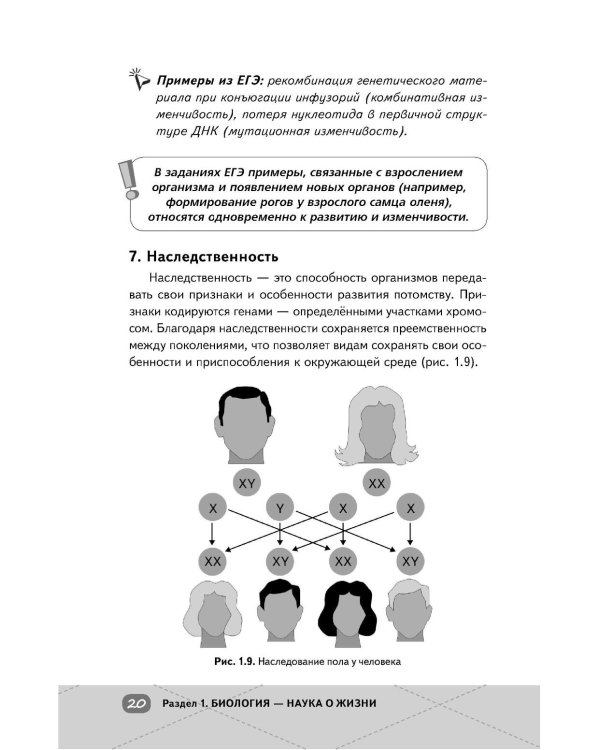 Дополнительное изображение книги «ЕГЭ. Биология»
