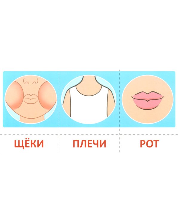 Набор речевых карточек с рисунками. Учебно-игровой комплект №2 (комплект из 4-х наборов карточек)