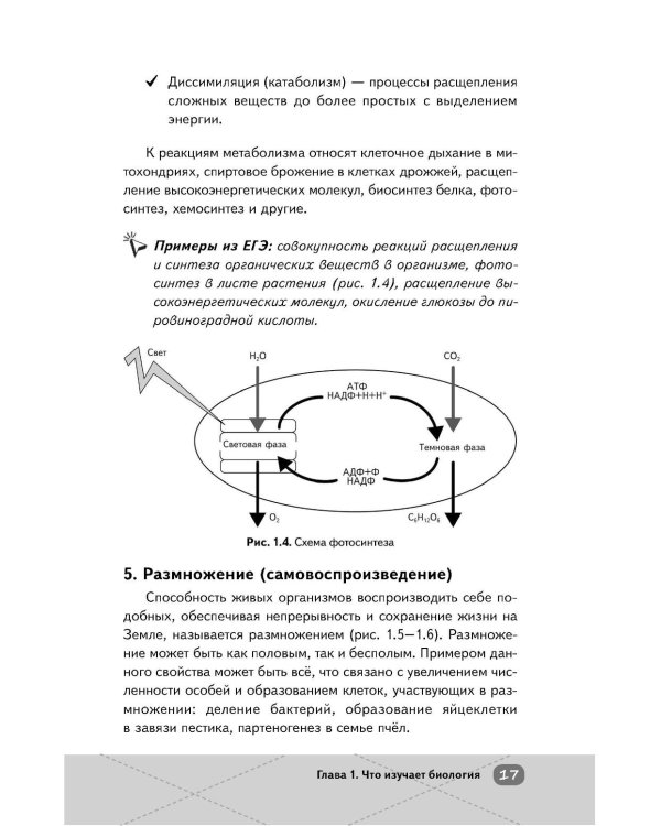 Дополнительное изображение книги «ЕГЭ. Биология»