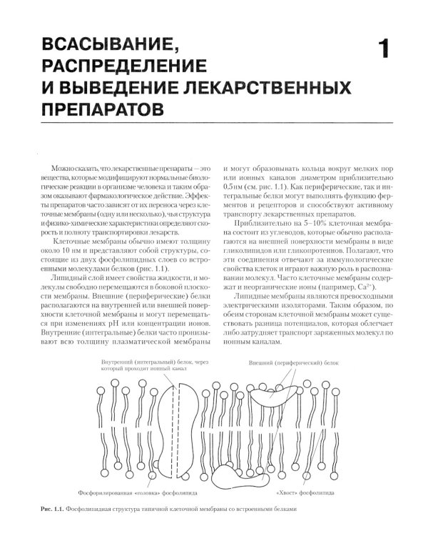 Фармакология для анестезиологов. 5-е изд