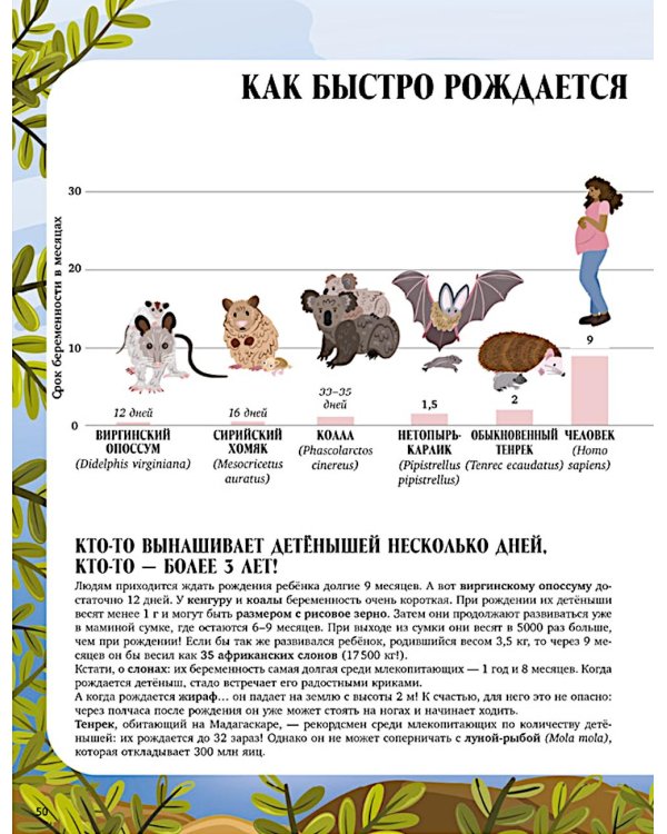 Земля от атома до галактики. Масштабы мира в цифрах.