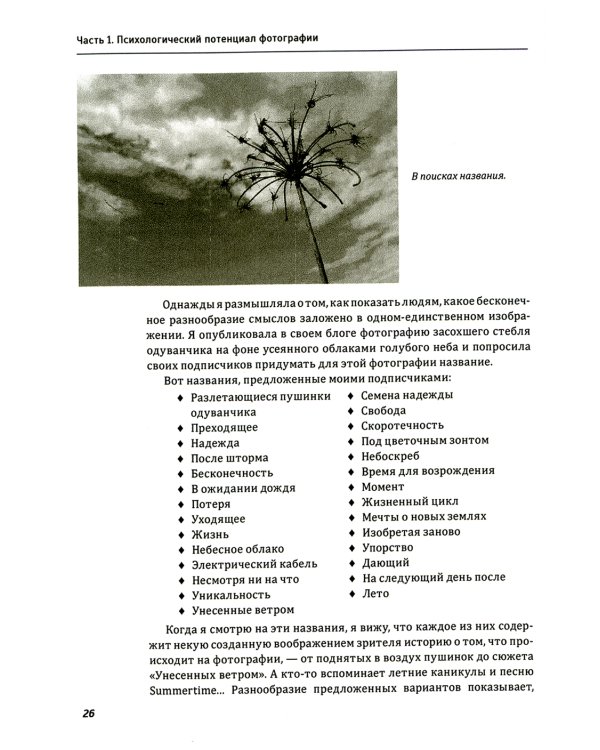 Один образ - много смыслов. Использование фотографий в психологическом консультировании, обучении и коучинге