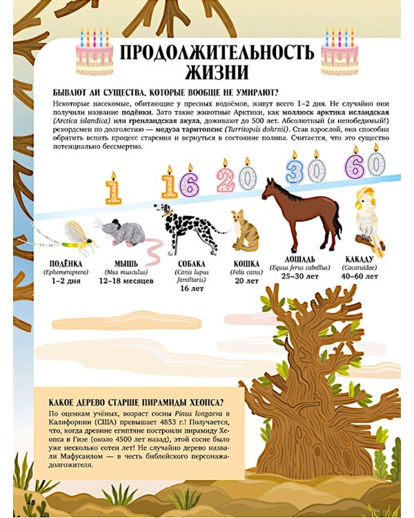 Земля от атома до галактики. Масштабы мира в цифрах.