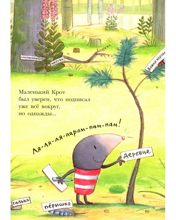 Штука-Дрюка: книжка-картинка