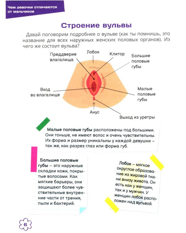 Я уже почти взрослая. Ответы на главные вопросы девочки от 9 до 13 лет