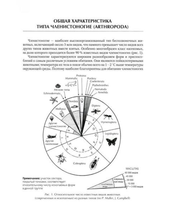 Медицинская арахноэнтомология: руководство