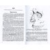 Функциональная анатомия ЛОР-органов Функциональная анатомия ЛОР-органов