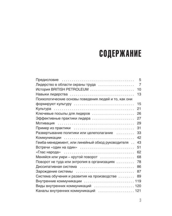 Дополнительное изображение книги «Бережливый путь. Практика»