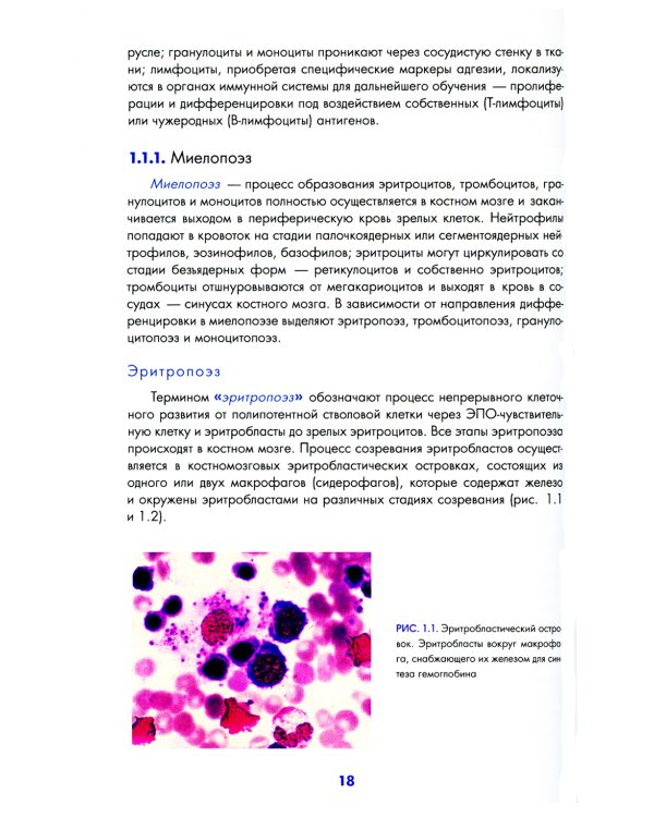 Учебник по гематологии. 2-е изд., доп.и перераб