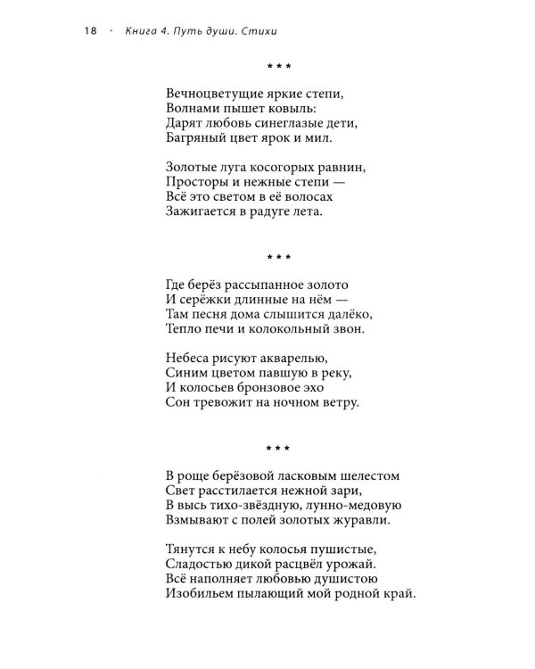 Новый этап пробуждения. Кн. 4: Путь души. Стихи о жизни, доме, родине и сыне