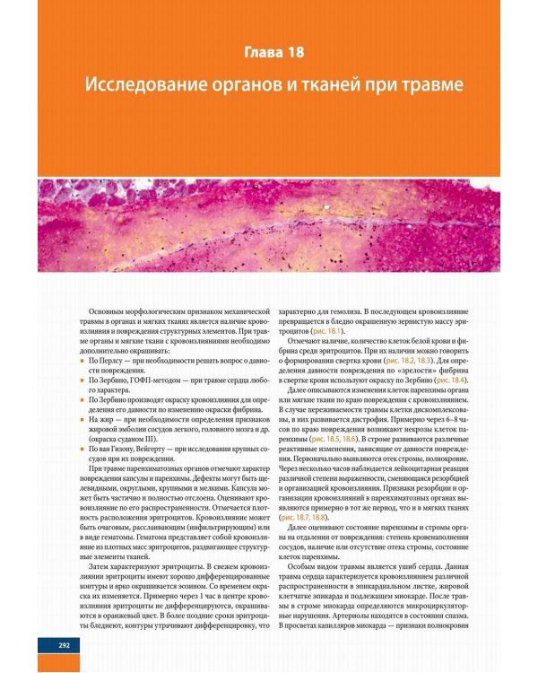 Судебно-медицинская гистология: иллюстрированный алгоритм судебно-гистологического исследования