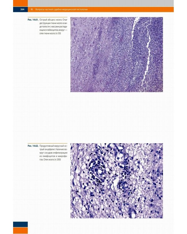 Судебно-медицинская гистология: иллюстрированный алгоритм судебно-гистологического исследования