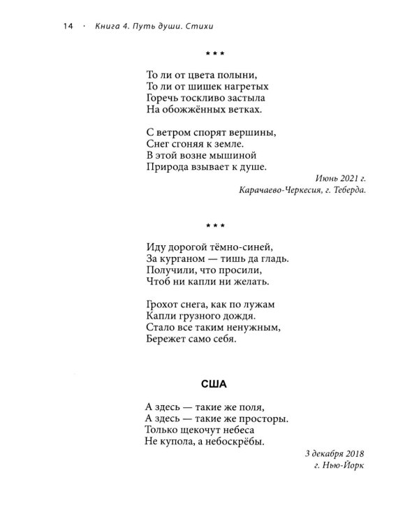 Новый этап пробуждения. Кн. 4: Путь души. Стихи о жизни, доме, родине и сыне