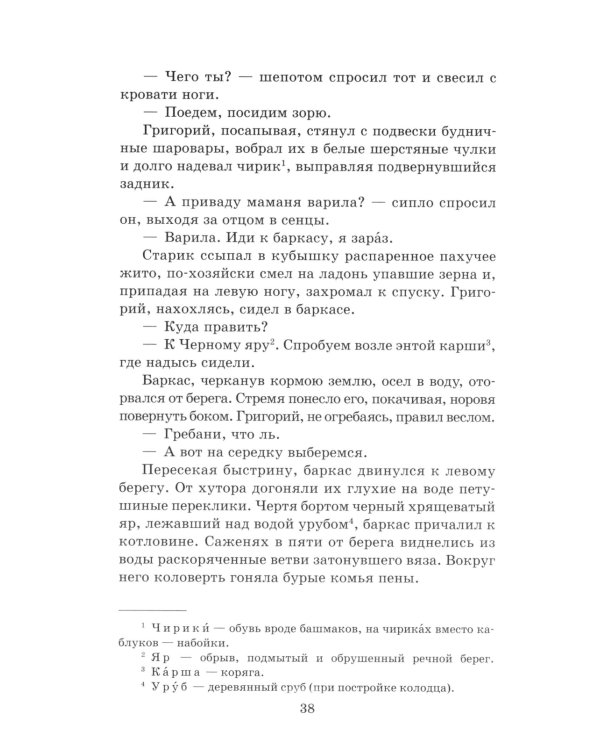 Тихий Дон: роман в 4 кн. Кн. 1