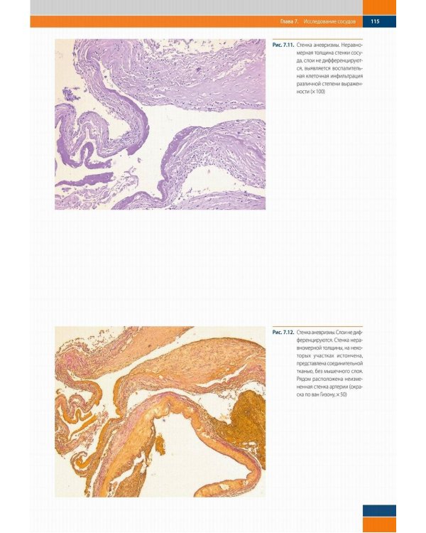 Судебно-медицинская гистология: иллюстрированный алгоритм судебно-гистологического исследования