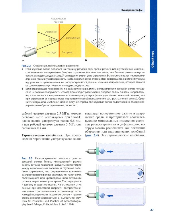 Курс эхокардиографии (+ DVD)