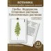 Ботаника. Систематика грибов, водорослей, растений. Грибы. Водоросли. Споровые растения. Голосеменные растения. (КАРТОЧКИ 23 шт.) Ботаника. Систематика грибов, водорослей, растений. Грибы. Водоросли. Споровые растения. Голосеменные растения. (КАРТОЧКИ 23 шт.)