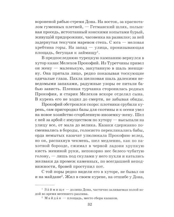 Тихий Дон: роман в 4 кн. Кн. 1