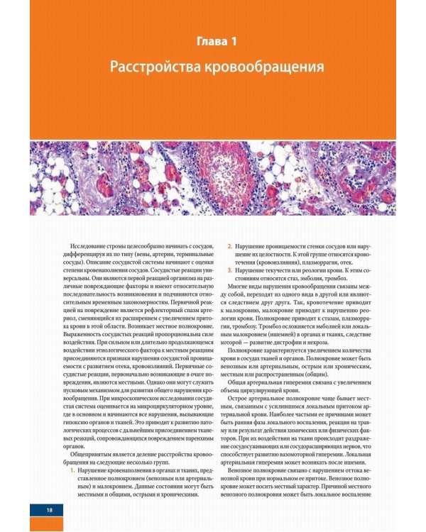 Судебно-медицинская гистология: иллюстрированный алгоритм судебно-гистологического исследования