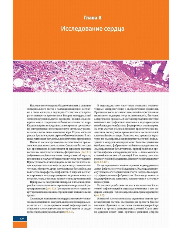 Судебно-медицинская гистология: иллюстрированный алгоритм судебно-гистологического исследования