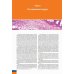 Судебно-медицинская гистология: иллюстрированный алгоритм судебно-гистологического исследования