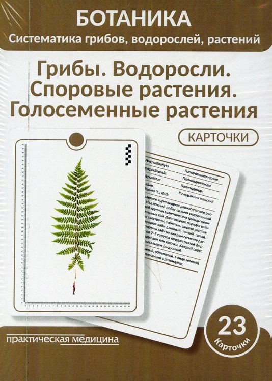 Ботаника. Систематика грибов, водорослей, растений. Грибы. Водоросли. Споровые растения. Голосеменные растения. (КАРТОЧКИ 23 шт.) Ботаника. Систематика грибов, водорослей, растений. Грибы. Водоросли. Споровые растения. Голосеменные растения. (КАРТОЧКИ 23 шт.)