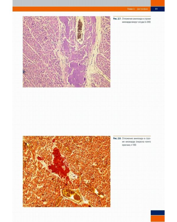 Судебно-медицинская гистология: иллюстрированный алгоритм судебно-гистологического исследования