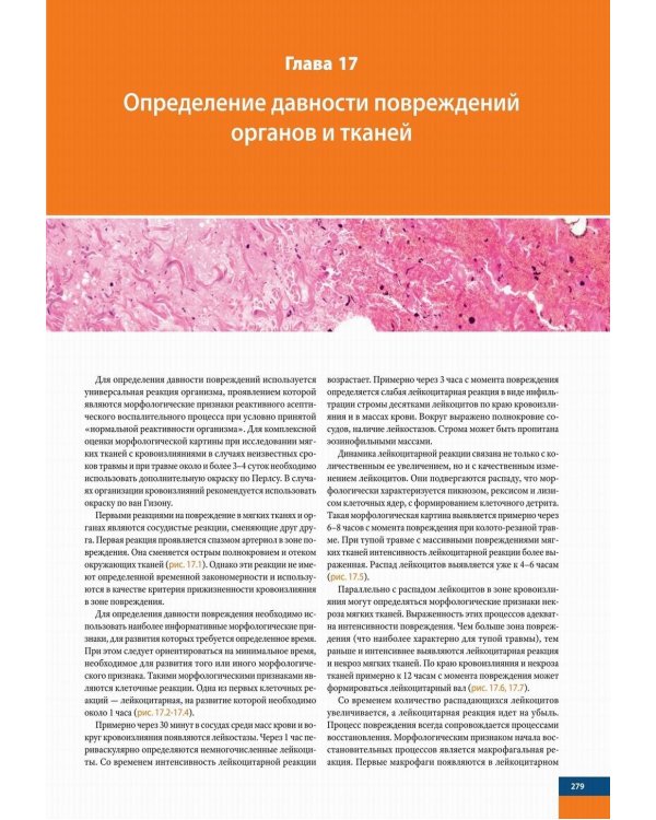 Судебно-медицинская гистология: иллюстрированный алгоритм судебно-гистологического исследования