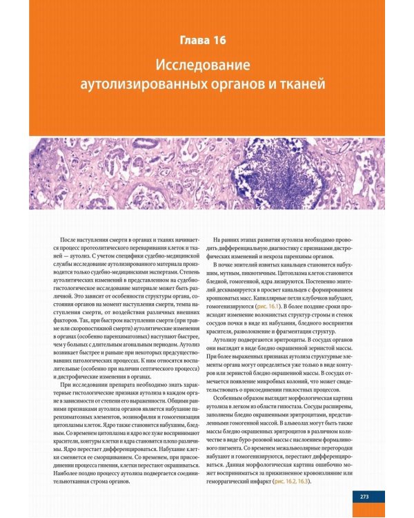 Судебно-медицинская гистология: иллюстрированный алгоритм судебно-гистологического исследования
