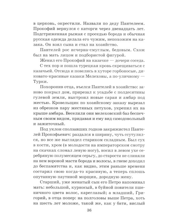 Тихий Дон: роман в 4 кн. Кн. 1