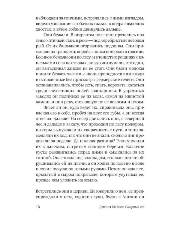 Северный лес: роман