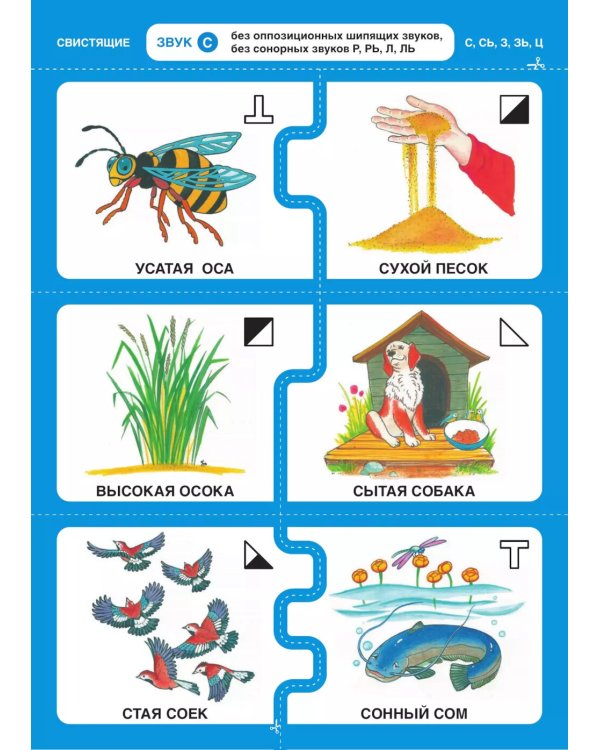 Дружу со звуками  говорю правильно! С  СЬ  З  ЗЬ  Ц. Комплект логопедических игровых карточек для автоматизации звуков в сочетаниях слов (+инструкция)