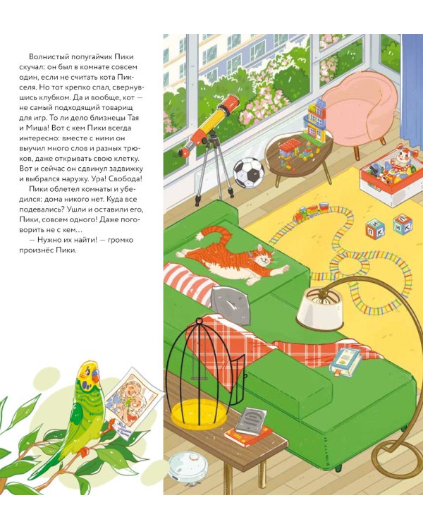 А где все? Пики и Клювик летят на поиски ( кн. с кнопкой)