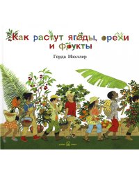 Как растут ягоды, орехи и фрукты?