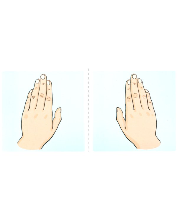 Набор речевых карточек с рисунками. Учебно-игровой комплект №9 (комплект из 5 наборов карточек)