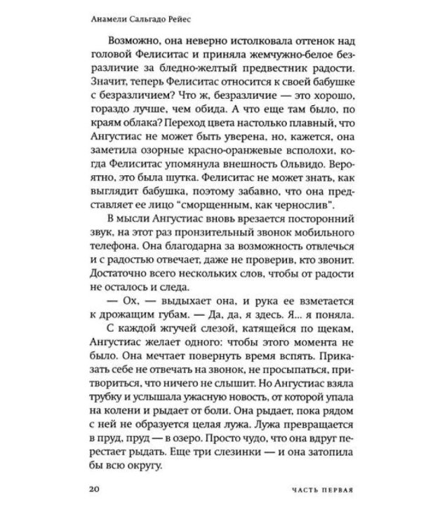 Моя мать прокляла мое имя: роман