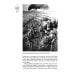 Вторая мировая война. Т. 3. Великий союз. Кн. 1: Германия устремляется на восток. Кн. 2: Война приходит в Америку (комплект из 2 кн.)