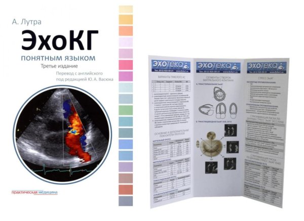 Вместе дешевле ЭхоКГ понятным языком; + Пособие по эхокардиографии (Буклет Эхотека) (комплект)