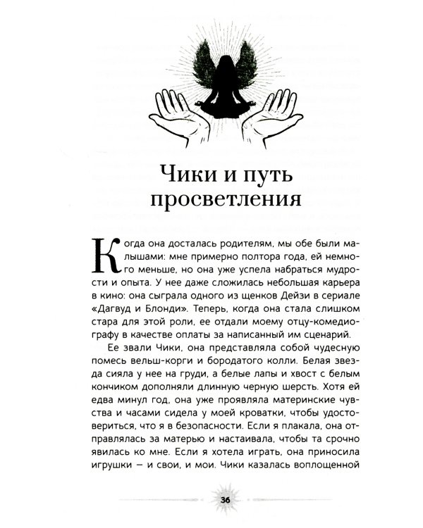 Медитация. Сокровенный опыт взаимодействия с Божественным посредством созерцательных практик