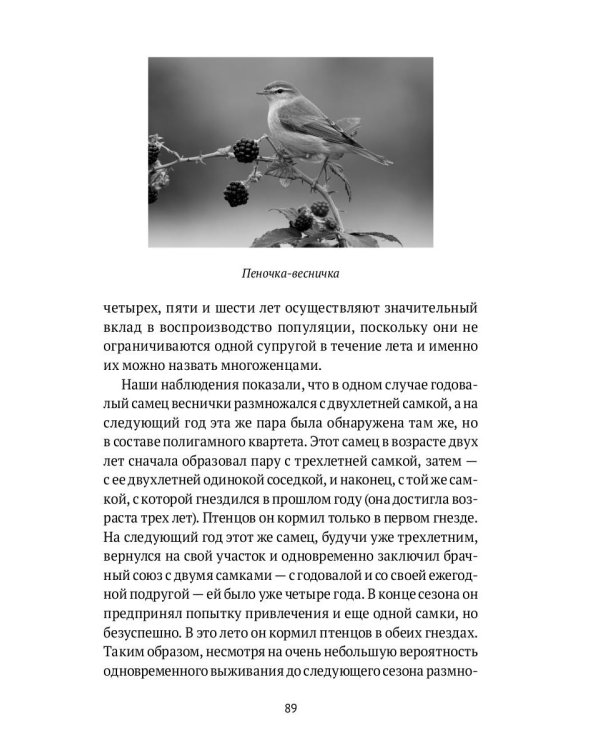 Пернатые многоженцы: Любовь, браки, измены и разводы в мире птиц