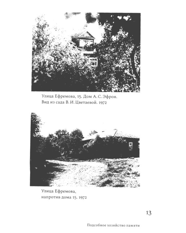 Ариадна Эфрон: рассказанная жизнь. 3-е изд