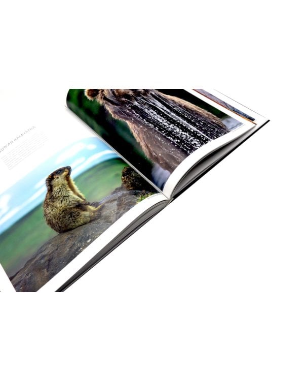 Россия. Заповедными дикими тропами. Фотоальбом