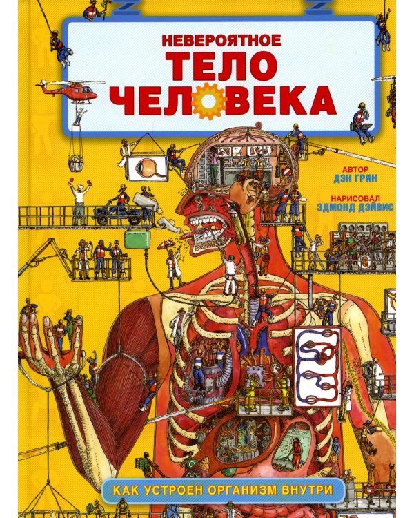 Невероятное тело человека. Как устроен организм внутри