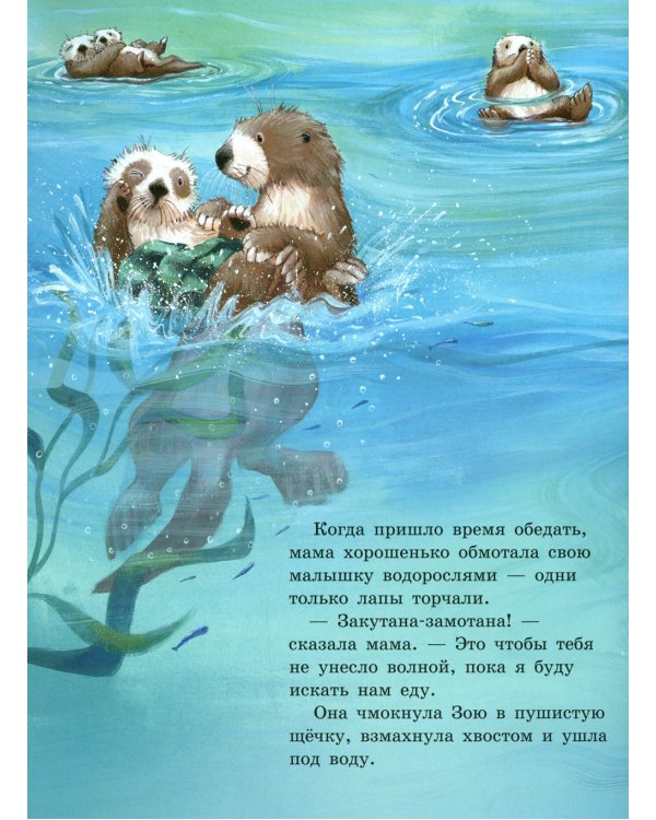Скорей давай лапу!: книжка-картинка